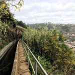 Schmaler Weg mit Aussicht