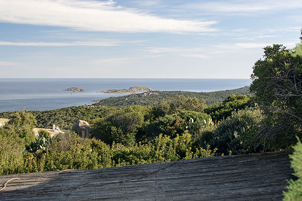 Macchia Wälder im Norden Sardiniens