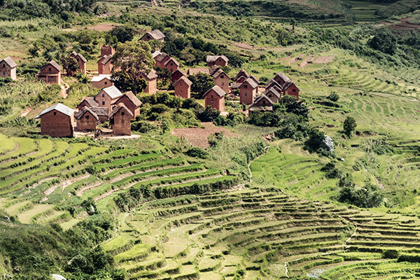 Blick auf Reisterrassen und Merina Dörfer