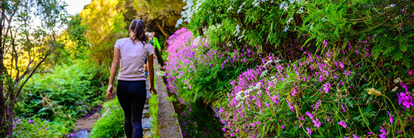 Madeira Reise für Alleinreisende