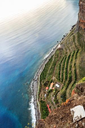 blick von oben auf weinhang und meer