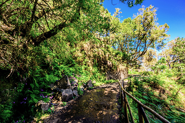 Wanderweg Levada das 25 Fontes 