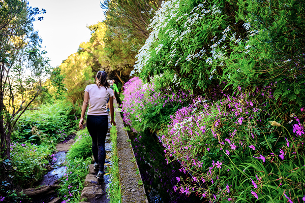 Wandern entlang der Levada