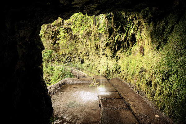 Teil des Wanderwegs Levada do Caldeirao 