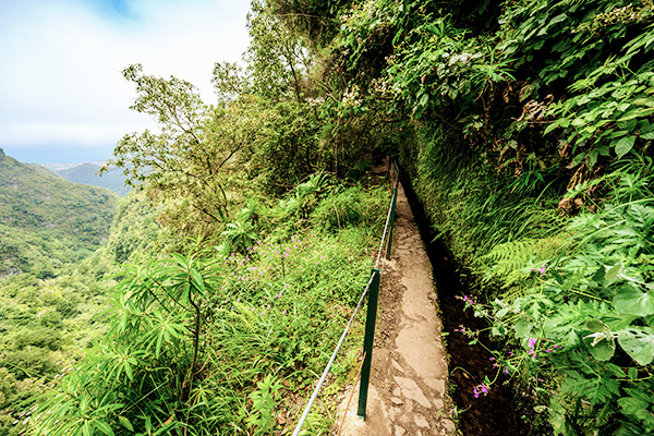 Ausblick vom Wanderweg Levada do Caldeirao auf Madeira