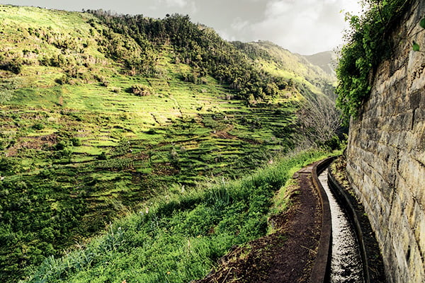 Levada do Moinho auf Madeira im Winter