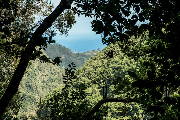 Blick aufs Meer vom Levada do Rei