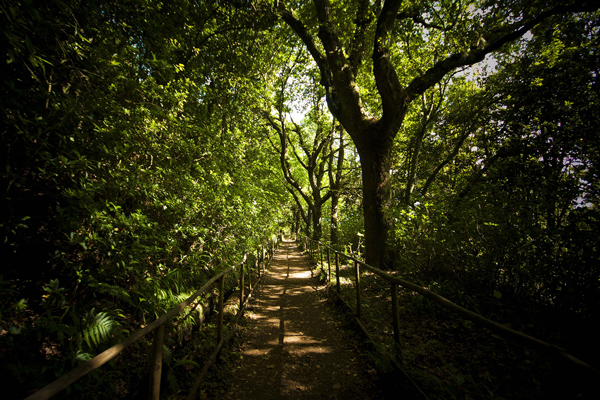 Auf dem Weg zum grünen Kessel „Caldeirão Verde“