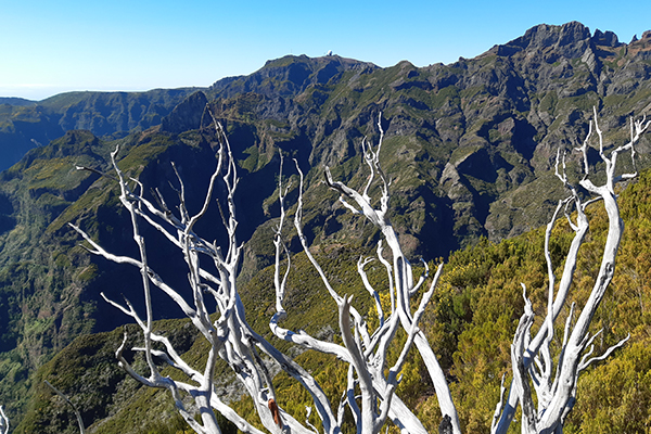 Ausblick auf Madeiras Bergwelt