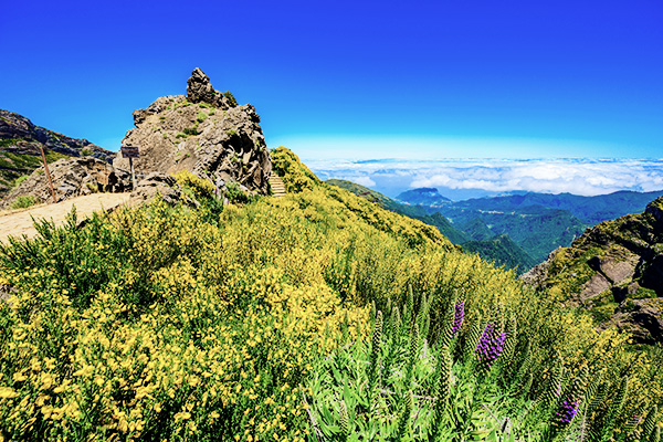 Ausblick auf Madeira vom Wanderweg Vereda do Arieiro