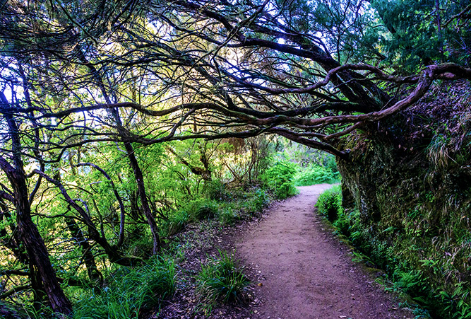 Levada, Madeira