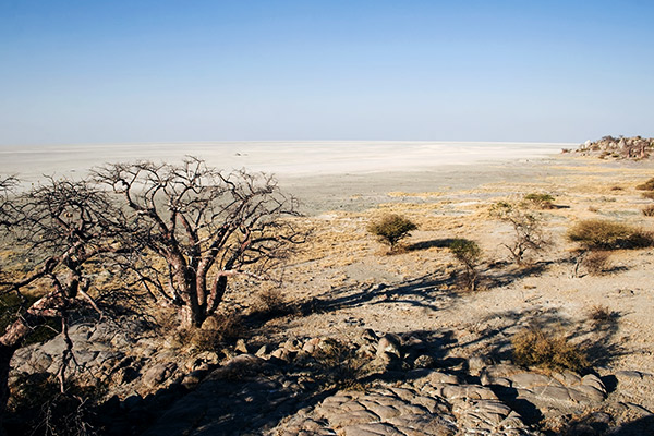 Makgadikgadi Salzpfanne, Botswana