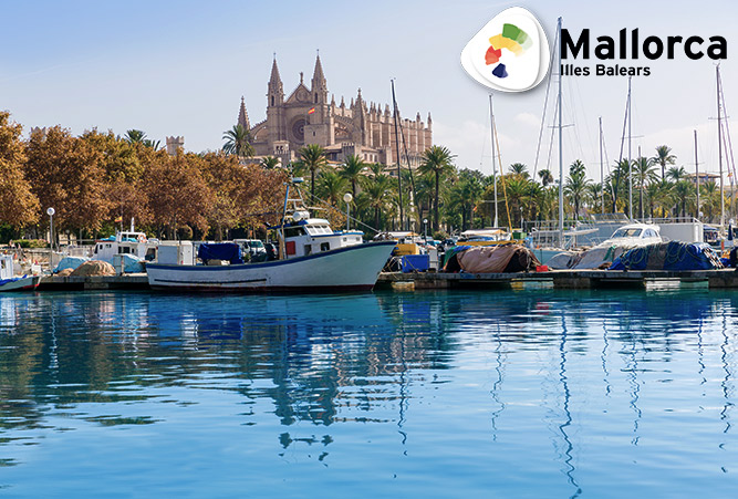 Der Hafen von Palma de Mallorca mit der Kathedrale von Palma