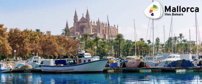Der Hafen von Palma de Mallorca mit der Kathedrale von Palma