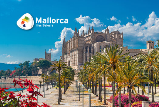 Starts Und Landungen Palma De Mallorca Heute www.asi-reisen.de