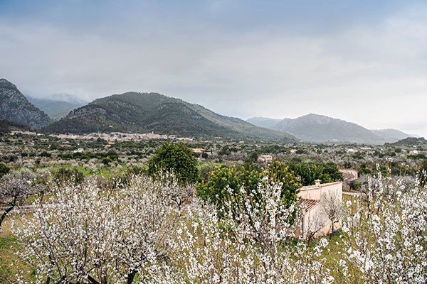 Blick auf die Stadt Caimari auf Mallorca