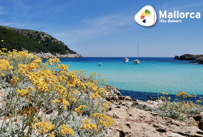 Schöner Strand Mallorca