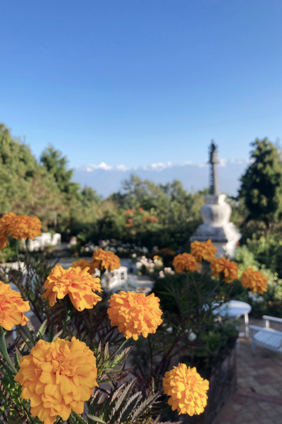 Nepalesische Blumen – Marigold & Blick auf die weißen Gipfel der 8.000er