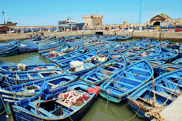 Blaue Boote vor Essaouira