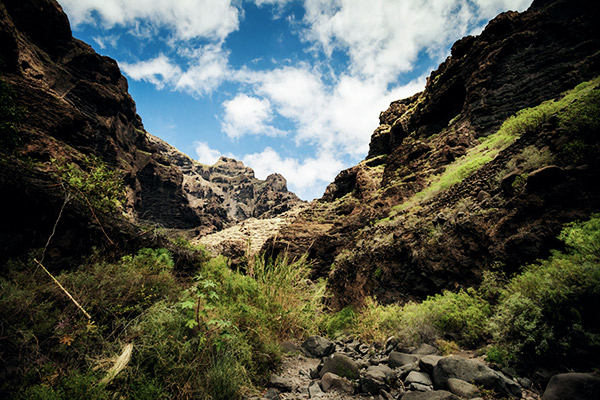 Masca Schlucht, Teneriffa