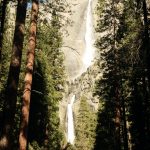 Blick auf einen Wasserfall durch Bäume hindurch, Yosemite Nationalpark. © Matthew Winslow