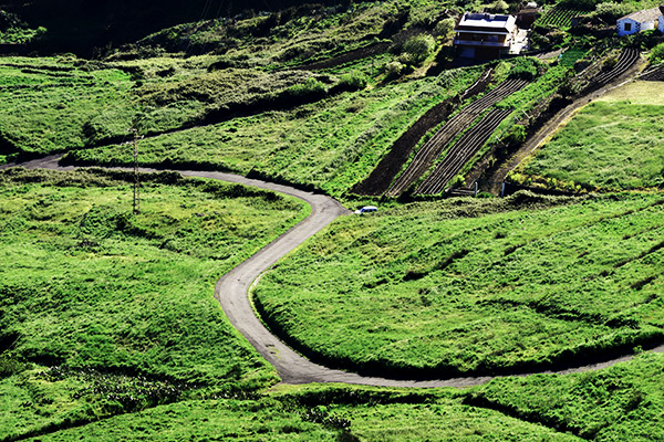 Terassenfelder im Teno Gebirge, Teneriffa