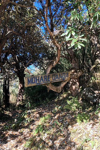 Mohare Danda – der höchste Punkt unserer Reise