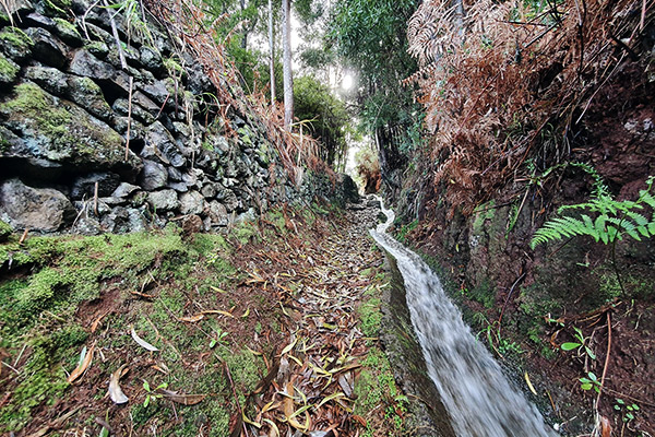 Mühlen Levada auf Madeira