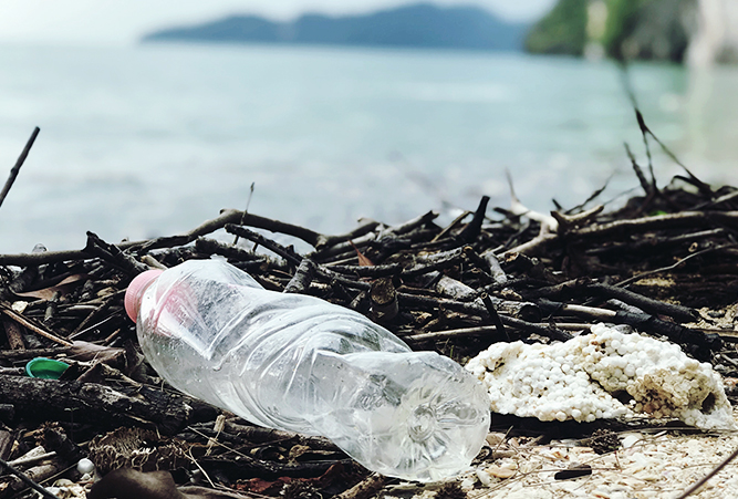 Plastikflasche am Strand