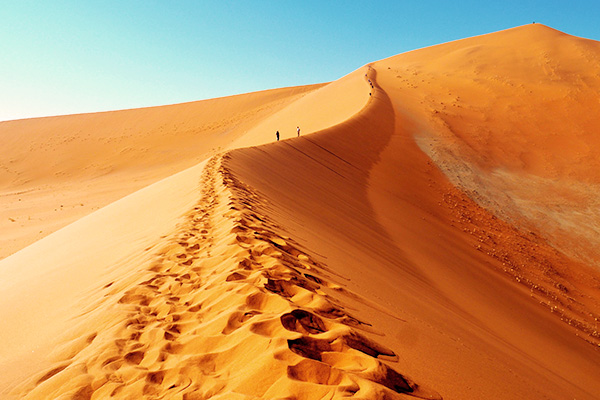 Dünenbesteigung beim Big Daddy Dune Hike