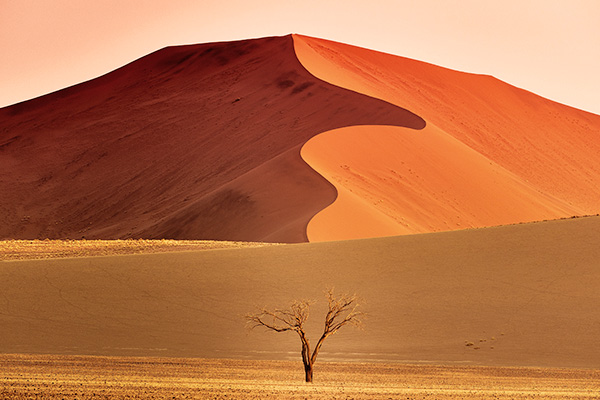 Meterhohe Dünen in Sossusvlei