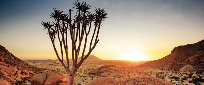 Wüstenlandschaft in Namibia