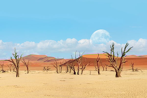 Dead Vlei, Namibia