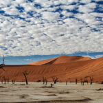 Dead Vlei in Sossusvlei im Namib Naukluft Nationalpark