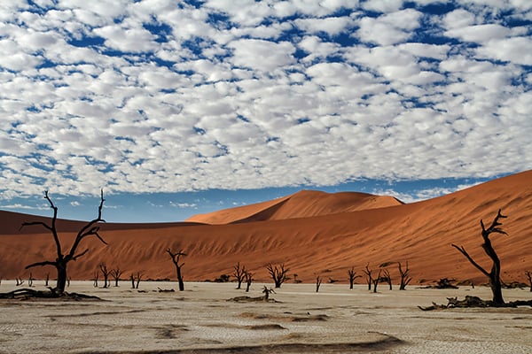 Dead Vlei in Sossusvlei im Namib Naukluft Nationalpark