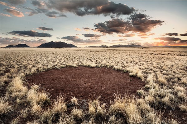 Feenkreis bei Sonnenuntergang im Namib-Naukluft Park in Namibia
