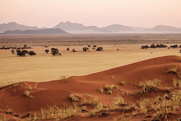 Namib Naukluft Nationalpark