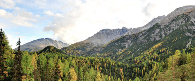 Schweizerischer Nationalpark