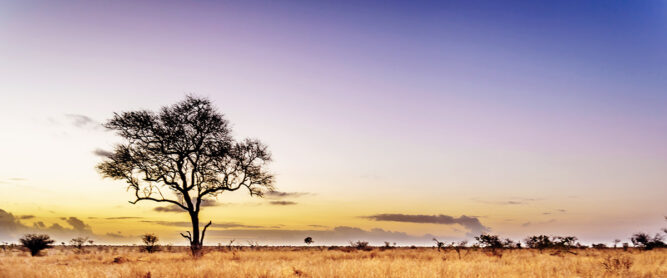 Krüger Nationalpark, Südafrika