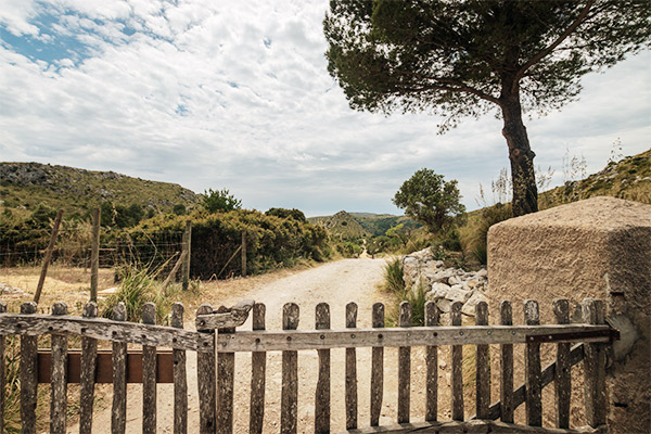 Wanderweg in Parque de natural de Llevant, Mallorca