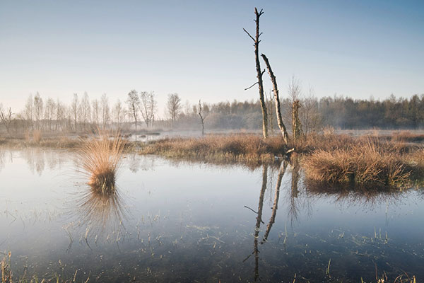 Internationaler Naturpark Bourtanger Moor-Bargerveen