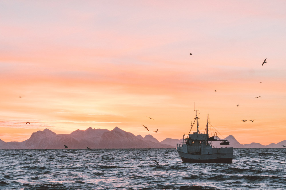 fischerboot, das aufs meer hinausfährt, berge und orange gefärbter himmel im hintergrund