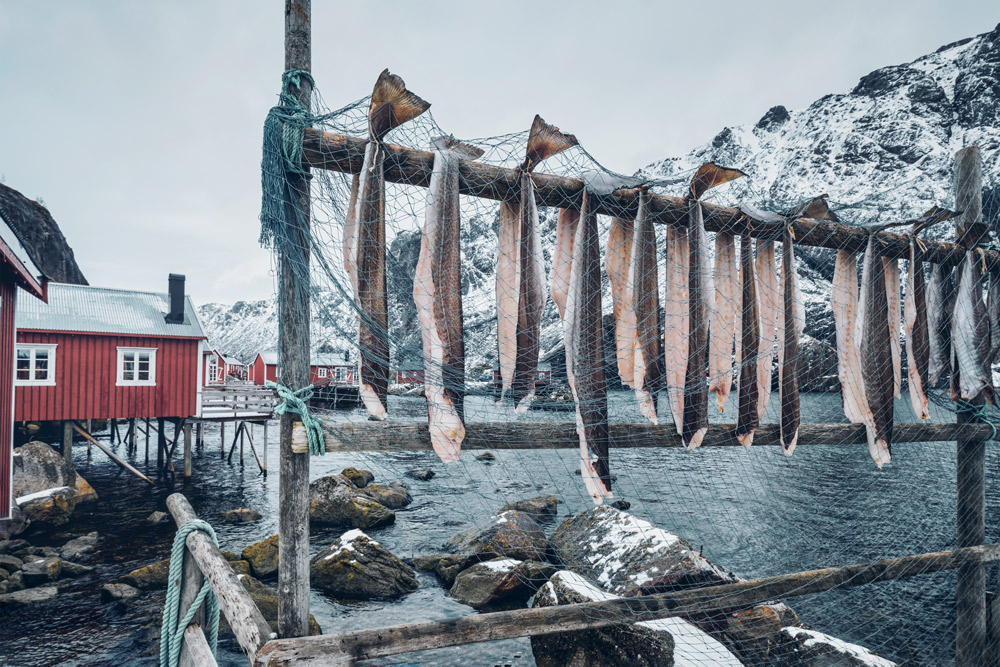 fische, die auf holzbalken hängen, über fluss und roten häusern im hintergrund