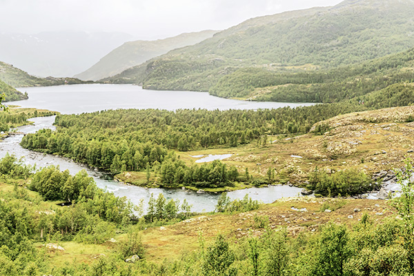Hochebene Hardangervidda