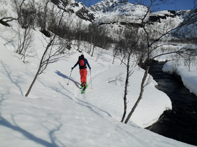 Skitourengeher von hinten, geht Pfad im Schnee entlang, einige karge Bäumchen, blauer Himmel