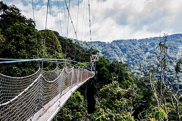 Nyungwe Nationalpark, Ruanda