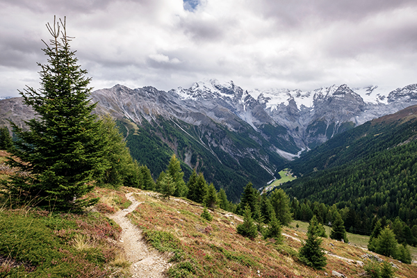 Blick auf die Ortler-Gruppe