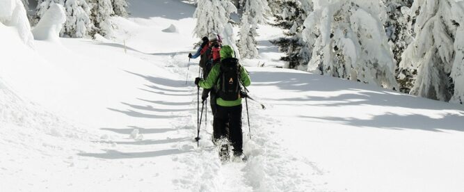 Deine Packliste für Backcountry-Skifahren