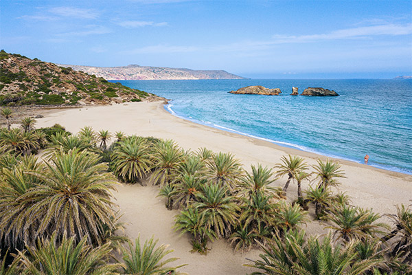 Palmenstrand Vai, Kreta