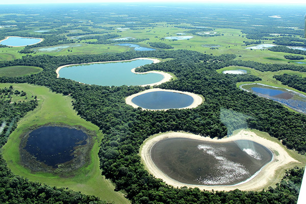 Pantanal, Brasilien